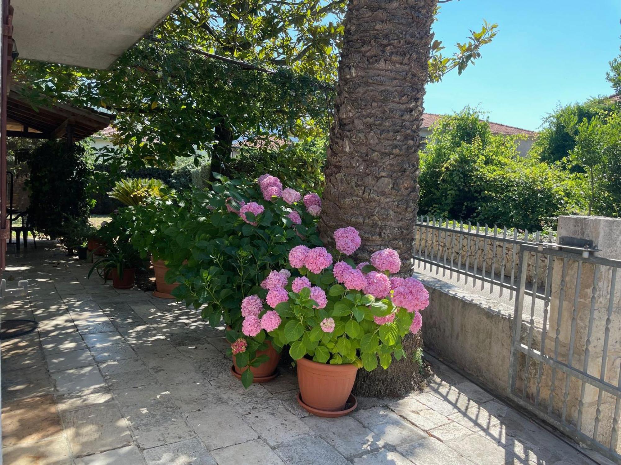 Hvar Guesthouse - Double Bedroom With Private Bathroom Jelsa  Dış mekan fotoğraf
